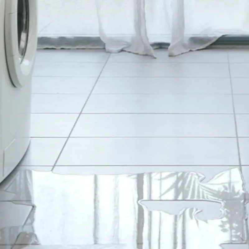 Appliance Leak Cleanup in Hawesville, KY