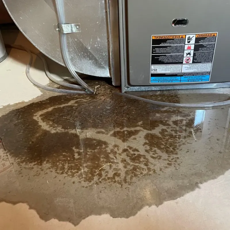 Pipe Burst and Leak Restoration in Hawesville, KY