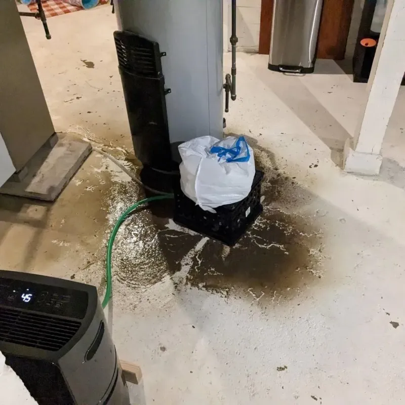 Sewage Backup Cleanup Service in Hawesville, KY
